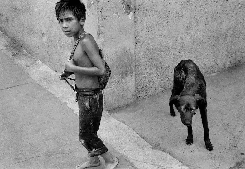 Alejandro G. Iñárritu resurrects lost footage from 'Amores Perros' in new LACMA installation - 2
