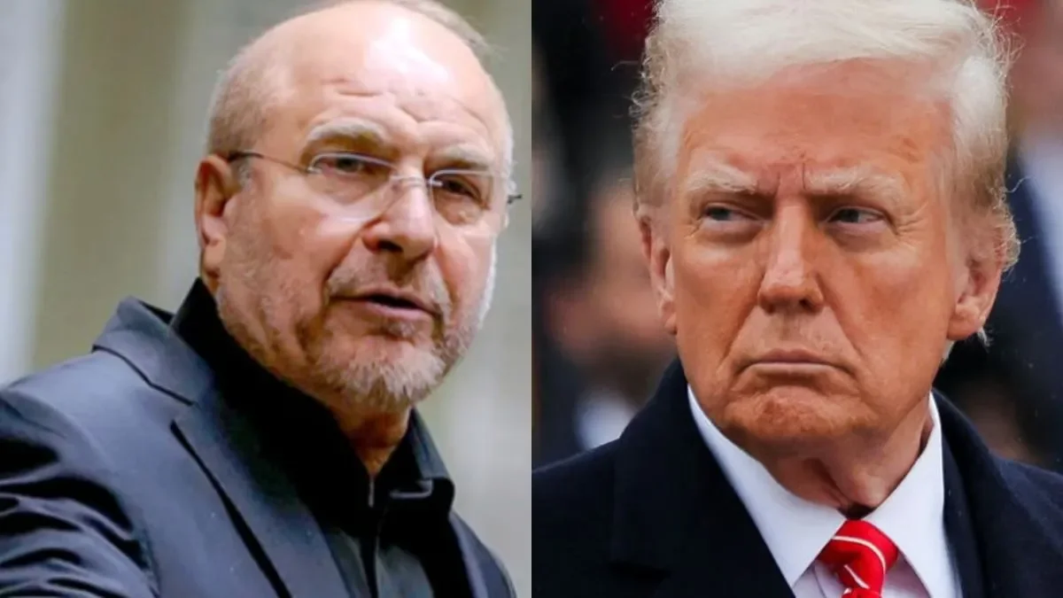 Iran 'REJECTS second round of peace talks with the US' despite Trump warning he would 'knock out' Tehran's power plants - 2