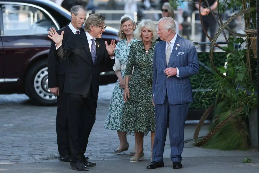 David Beckham is all smiles as he meets the King at Chelsea Flower Show - 2