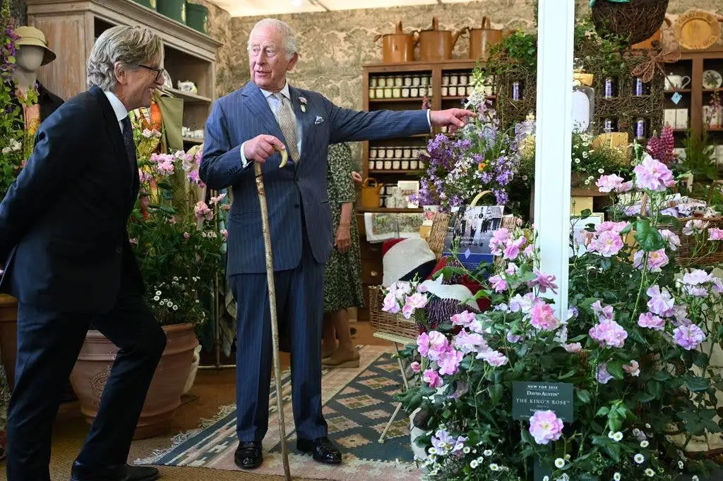 David Beckham is all smiles as he meets the King at Chelsea Flower Show - 3