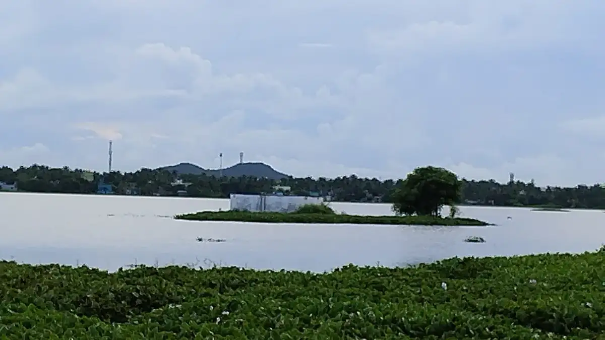 Residents oppose sewage treatment plant near Madambakkam lake - 4