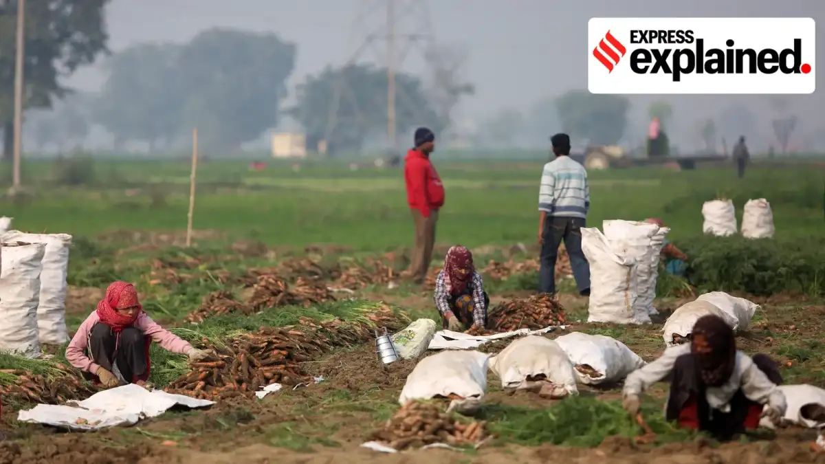 Farm politics intensifies in west U.P. over India-U.S. deal - 3