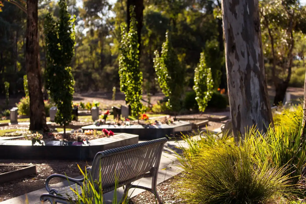 Lest we forget: Parks Victoria to clear vulnerable trees for war memorial - 3