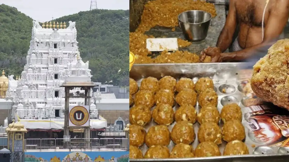 Central agencies should probe hike in price of ghee being procured by TTD: Sajjala - 4