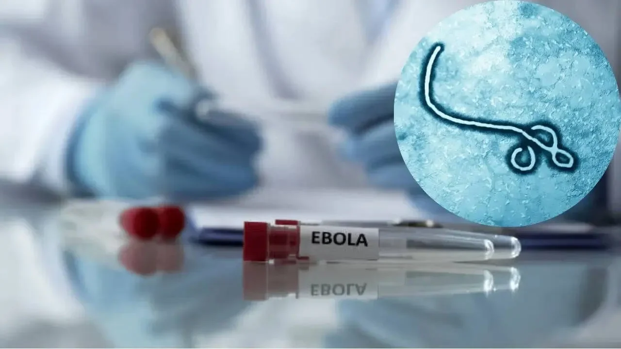 Report: At Least Six Americans Exposed to Ebola in DR Congo - 1