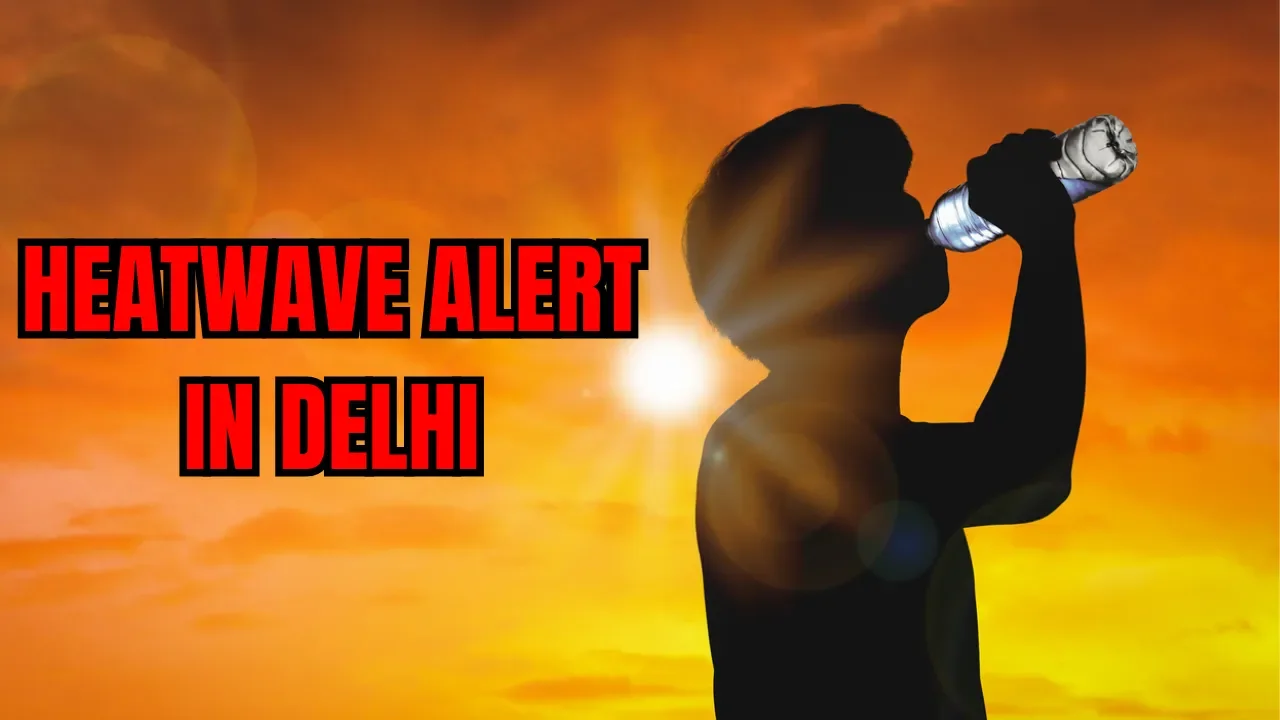 ‘Yellow' alert issued for heatwave in Delhi; max temperature likely to be around 44°C - 4