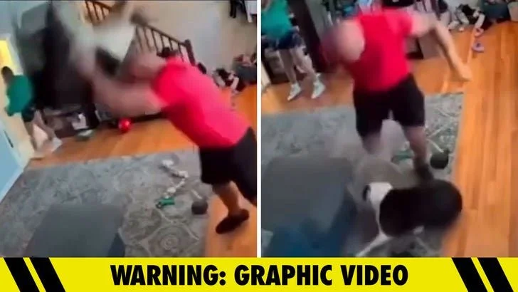 Man who allegedly kicked dog claims he came under attack - 2