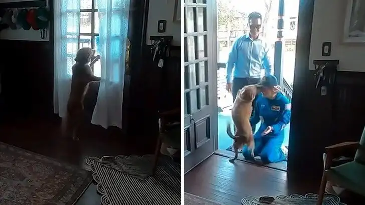 Artemis II astronaut Christina Koch comes home to an overjoyed welcome from dog - 3