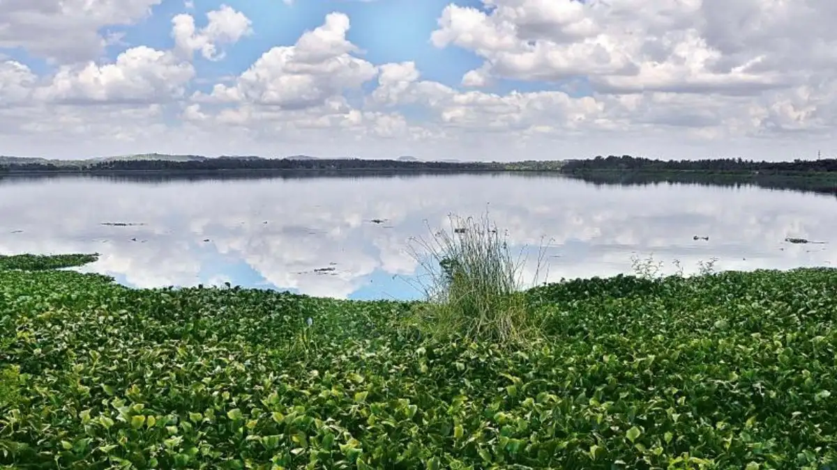 Karnataka’s ₹391 crore plan to dump pollution from Bengaluru on farmers in Kanakapura - 2