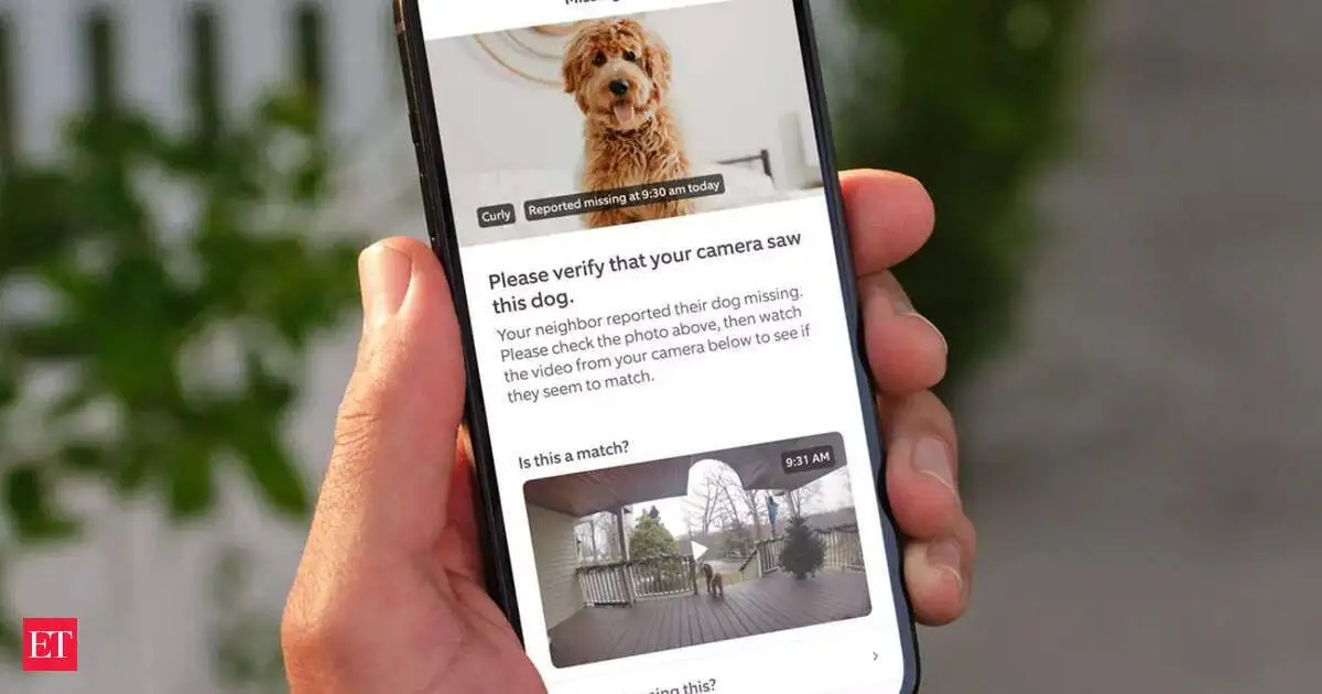 These people used AI to help find their lost pets - 3
