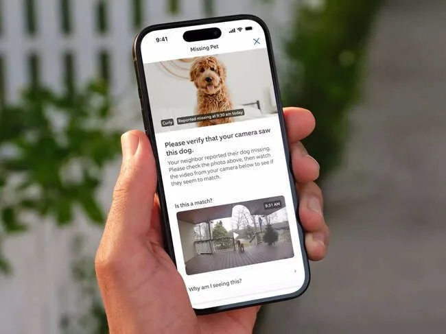 These people used AI to help find their lost pets - 4