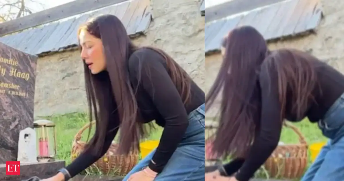 Celina Jaitly shares emotional video cleaning late son Shamsher’s grave in Austria, opens up on her divorce procedure ordeal: “The only child I got to meet was my son Shamsher” - 2