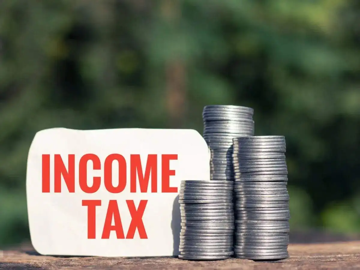 New Income Tax Act 2025: Breaking down benefits for individuals - 1