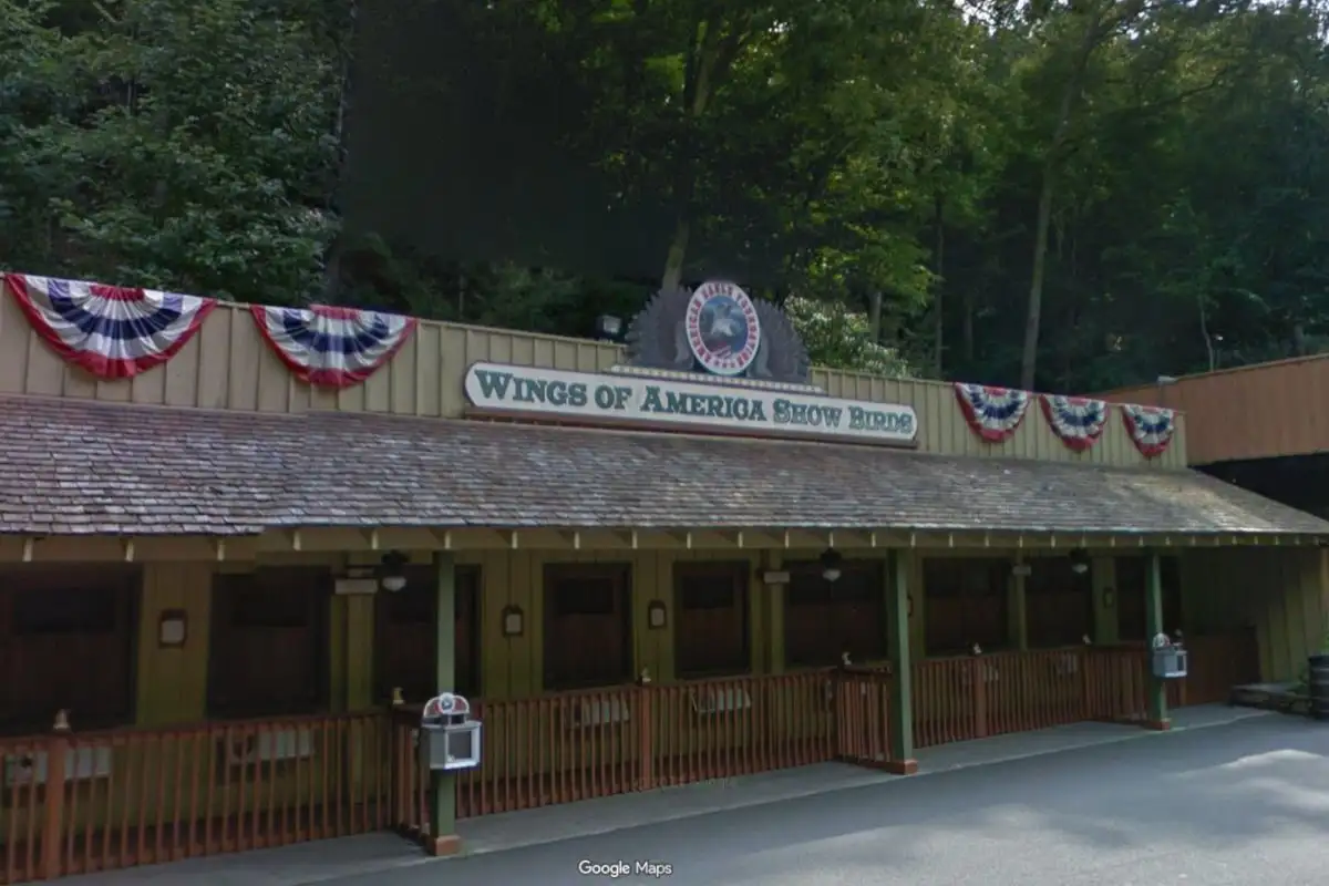 3 Bald Eagles Remain Missing from Sanctuary at Dolly Parton's Dollywood After Storm Damaged Enclosure - 3