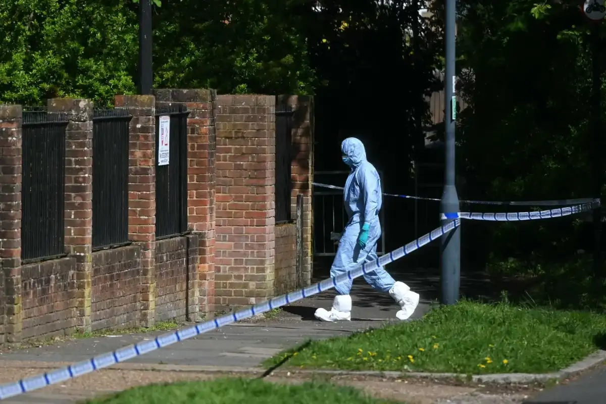 Third person arrested after attempted arson attack at north London synagogue - 4