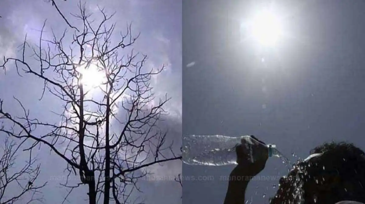Kerala Disaster Management Authority issues heat warning in State - 3