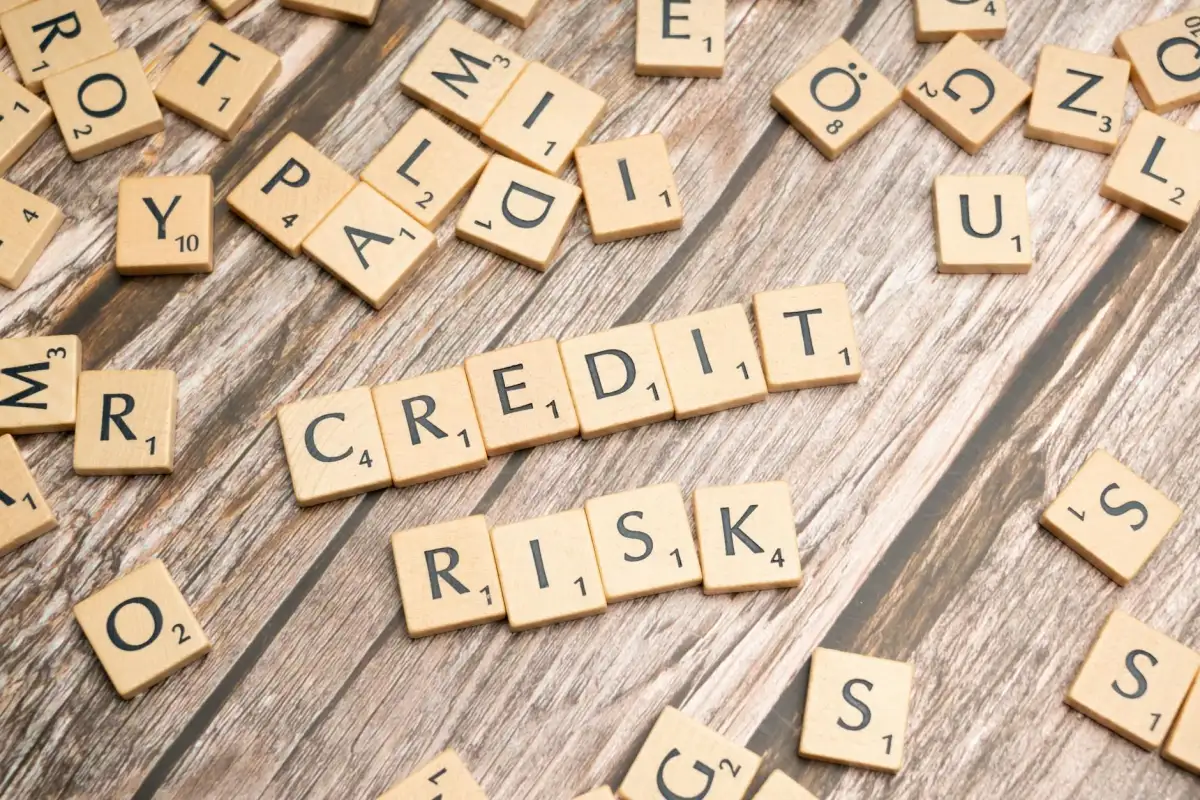 Is Blue Owl Private Credit’s ‘Canary in the Coal Mine’? - 4