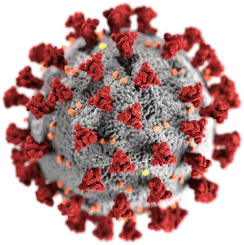 Massive debugging project: Why Google plans to release 32 million mosquitoes - 2