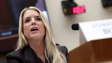 Pam Bondi clashes with House Democrats at DOJ oversight hearing - 2