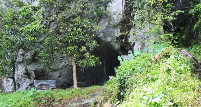 Sri Lanka teeth reveal rising plant diets thousands of years before agriculture - 4
