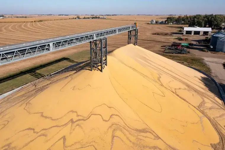 Is America on cusp of farm crisis? - 2