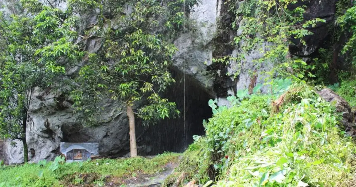 Sri Lanka teeth reveal rising plant diets thousands of years before agriculture - 3
