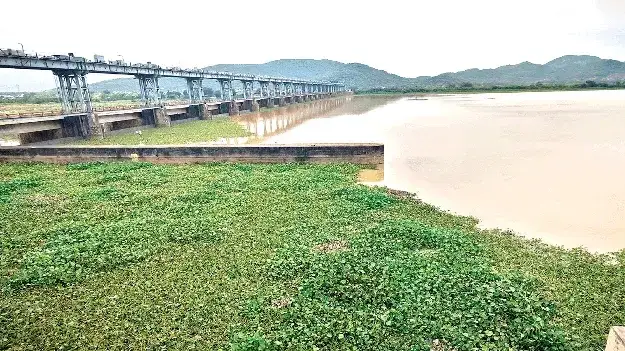 Government keen to complete Vamsadhara Lift Irrigation Scheme by April, says Srikakulam Collector - 3