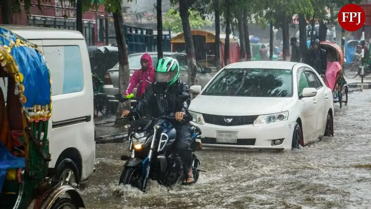 Monsoon tracker LIVE: IMD forecasts heavy rains in Mumbai, Thane on week-end, issues red alert - The Hindu - 1