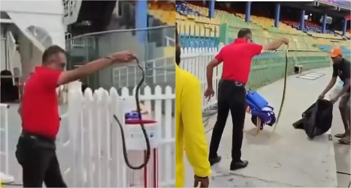 Major safety lapse ahead of IND vs PAK match after snake found in Pakistan dugout - 1