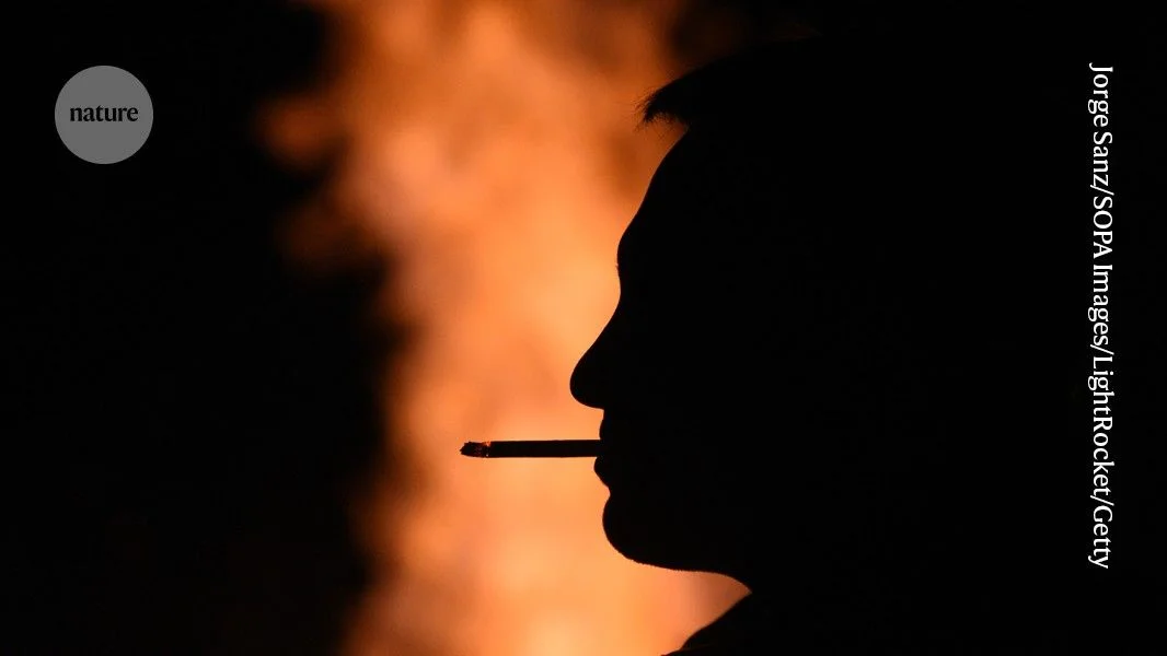 Seven million cancers a year are preventable, says report - 2
