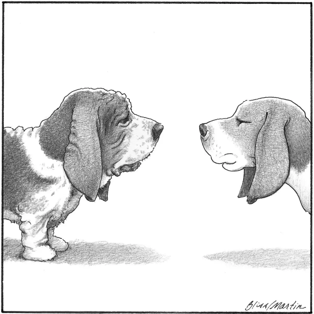 Best of cartoons, April 24, 2026 - 3