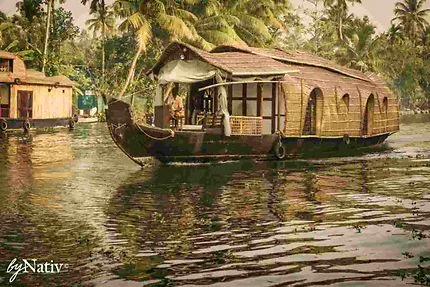Kerala govt to launch special drive in Athirappilly to tackle rogue elephants posing threat - 3