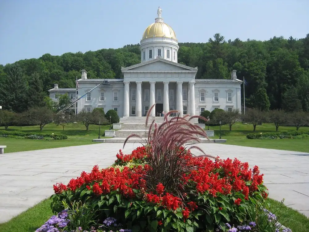 Vermont becomes first US state to ban paraquat herbicide over Parkinson’s fears - 1