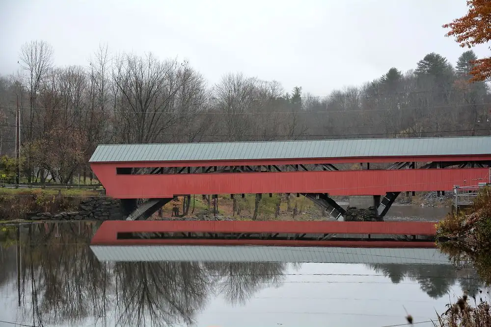 Vermont becomes first US state to ban paraquat herbicide over Parkinson’s fears - 4