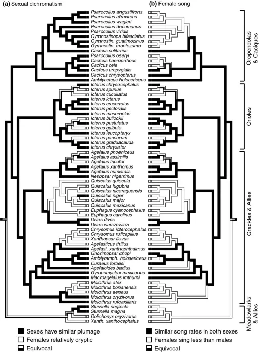 Songs play a greater role than plumage color in limiting bird hybridization, study suggests - 1