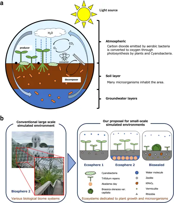 Can we grow life on Mars? Experiments show potential in simulated extraterrestrial soil - 2