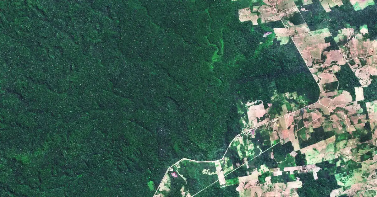 Satellite imagery and AI reveal development needs hidden by national data - 1