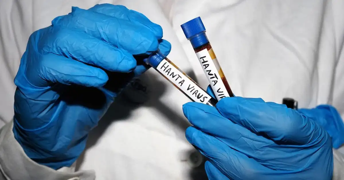 I Know Way Too Much About Infectious Diseases. Here’s Why I’m Considering Taking a Cruise With My Family Anyway. - 1