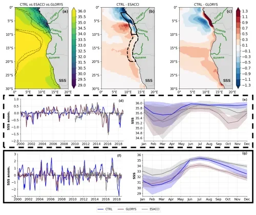 Congo River freshwater rides 49-day Atlantic eddy to travel 200 kilometers offshore - 2