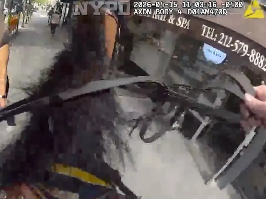 'Stop running!': NYPD officer on horseback catches purse thief in Manhattan - 1