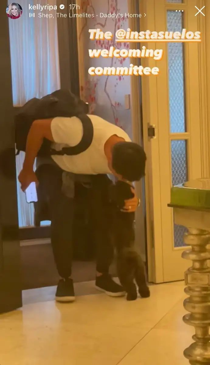 Kelly Ripa's oldest son shares ultra-rare glimpse of living situation far from famous family's $27m NYC home - 4