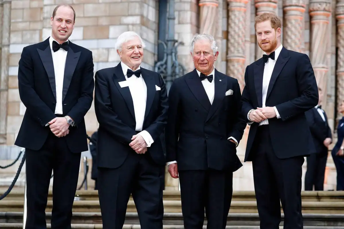 Prince Harry has no right to air his opinions on our national treasure David Attenborough - 2