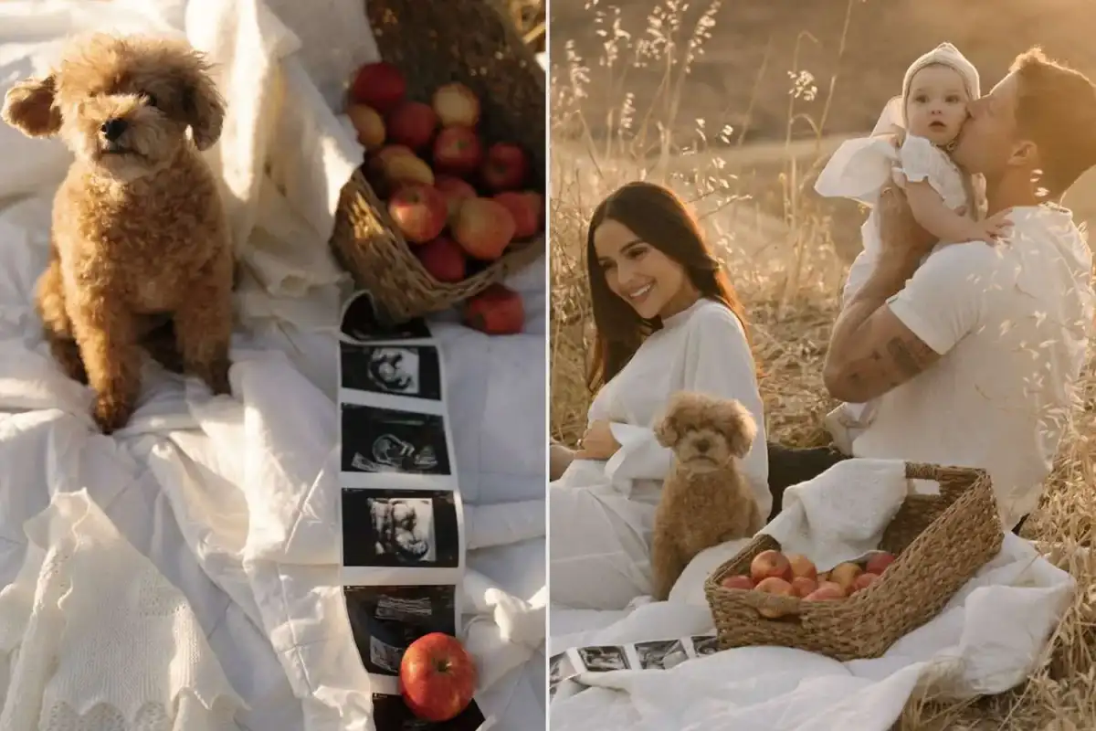 Olivia Culpo announces SECOND pregnancy with husband Christian McCaffrey... nine months after welcoming baby daughter - 1