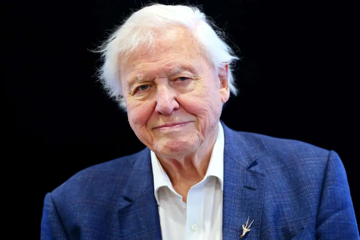 Prince Harry has no right to air his opinions on our national treasure David Attenborough - 4