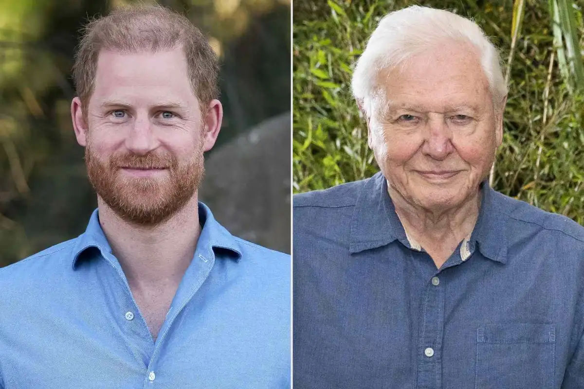 Prince Harry has no right to air his opinions on our national treasure David Attenborough - 3