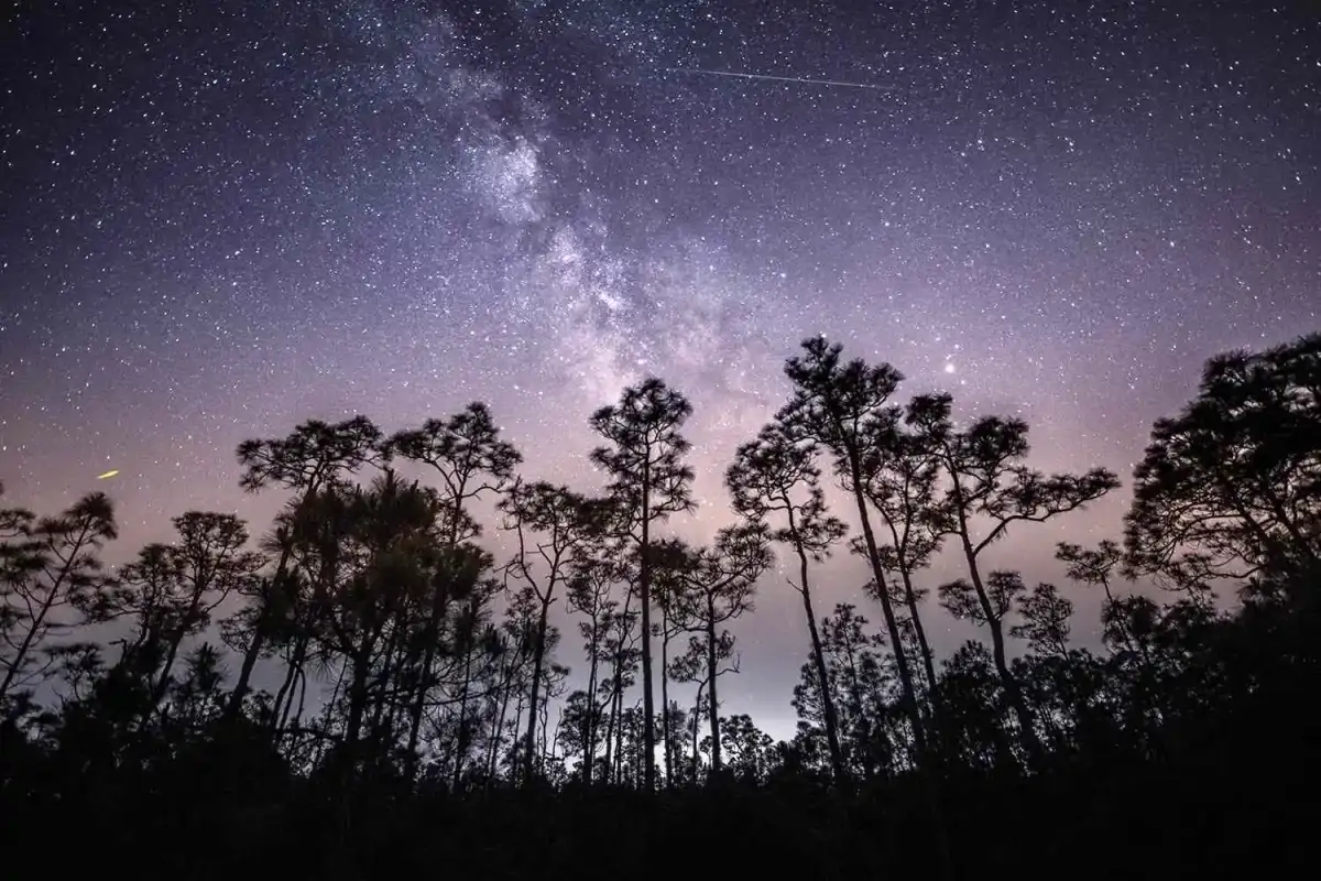 How to view the Eta Aquarids meteor shower that peaks tonight - 1