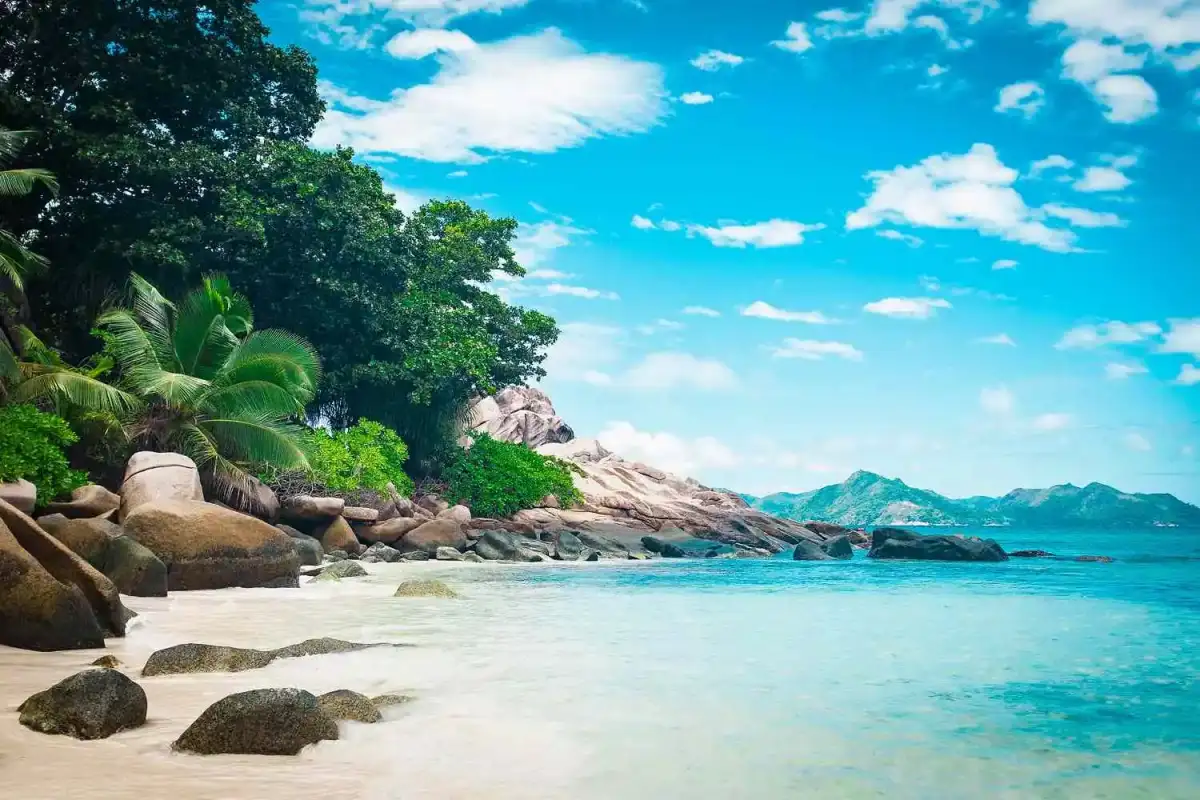CDC issues travel warning for popular beach destination over life-threatening incurable mosquito virus - 1