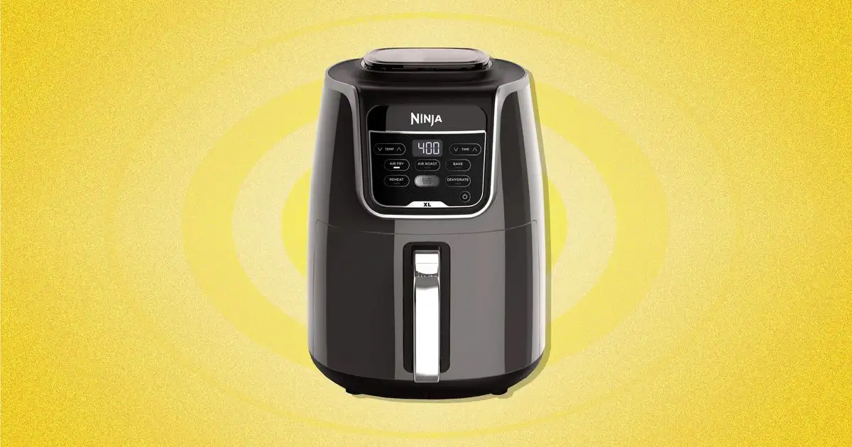 The Air Fryer Is a Once-in-a-Lifetime Kitchen Craze. Here's How Popular They've Become - 4