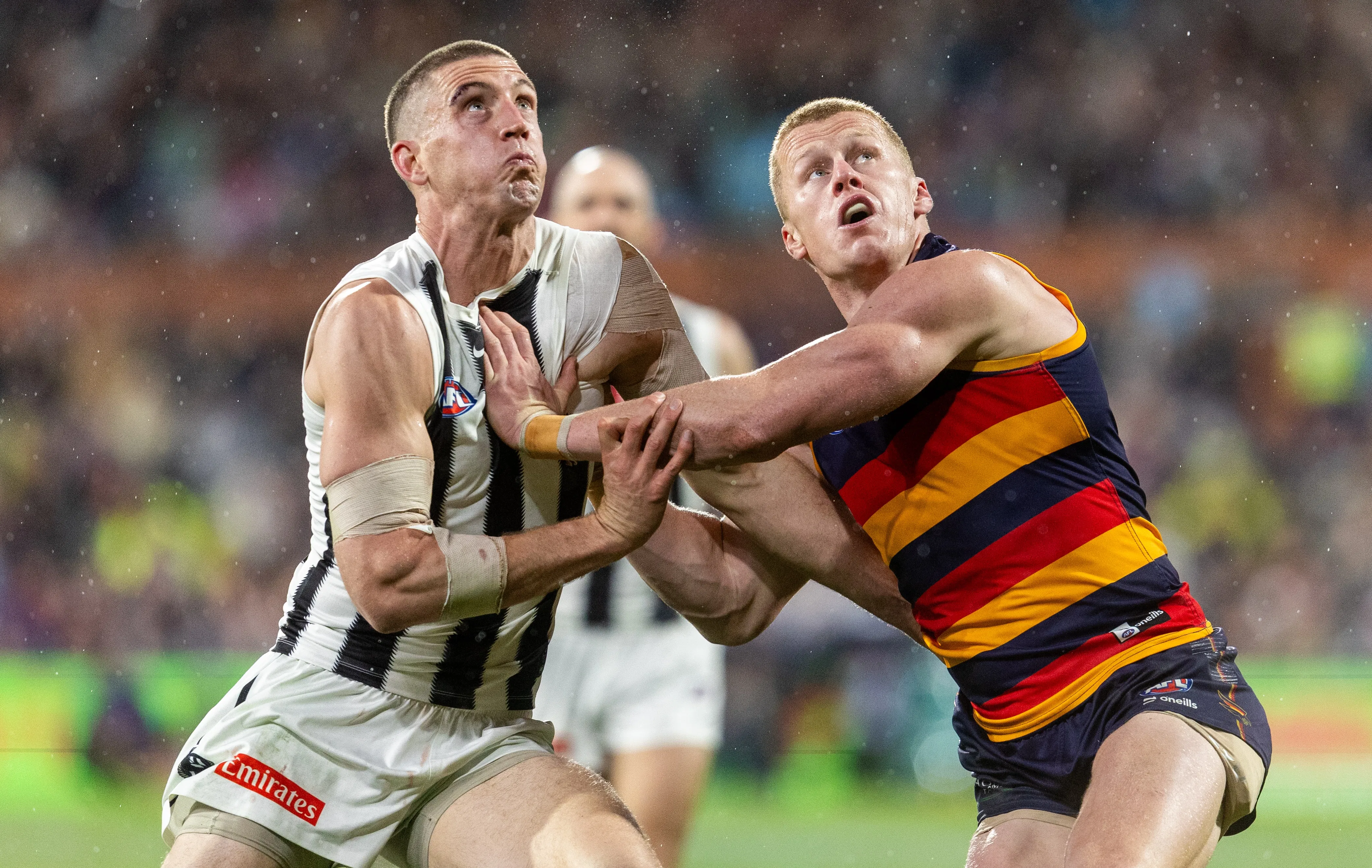 Surge with handball or control by foot: AFL challengers make choices in 2026 - 1