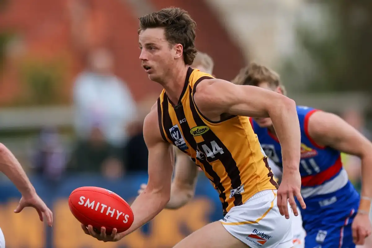 Trio offered bans for Hawks v Suns clash; ‘Not a hell of a lot of mercy’ as Roos make hottest start in 10 years - 2